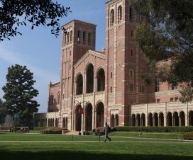 California Üniversitesi