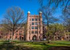 Yale Üniversitesi