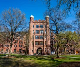 Yale Üniversitesi